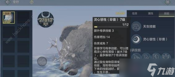 《探索妄想山海夫诸的合成与进化之道》（揭秘游戏中的合成系统和进化路径）