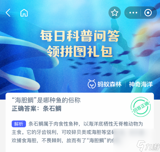 海胆鲷是哪种鱼的俗称