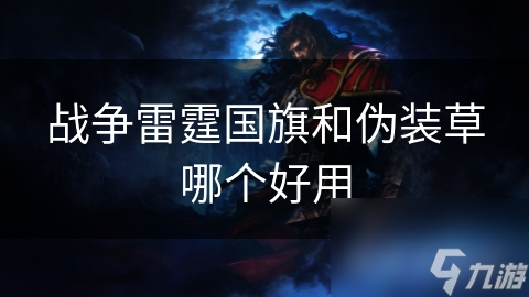 战争雷霆国旗和伪装草哪个好用