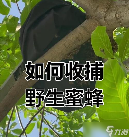 《以挨餓荒野蜜蜂劇情觸發(fā)攻略蜜蜂獲取技巧詳解》（深入解析游戲中蜜蜂獲取的技巧與策略）