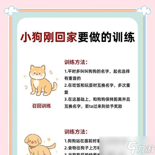问道小狗任务标记方法是什么？如何顺利完成捕捉小狗任务？