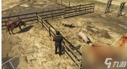 gta5拍动物有哪些玩法