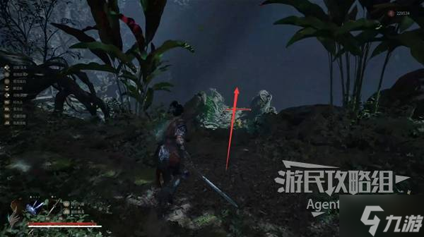 《明末渊虚之羽》白袍老者支线任务攻略 白袍老者支线怎么做