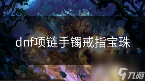 dnf项链手镯戒指宝珠