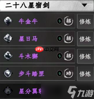 二十八星宿剑深度解析：紫色神兵中的实战王者