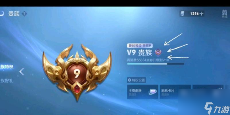 王者荣耀中如何成为荣耀贵族？