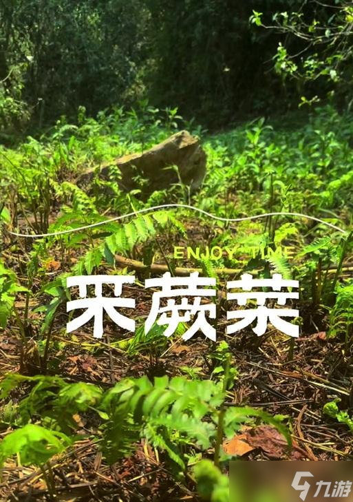 我的世界中蕨菜的获取方法是什么？