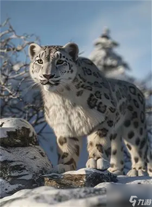 疯狂神射手雪原动物图鉴汇总