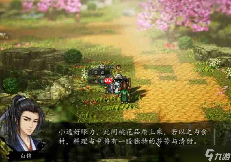 逸剑风云决白锦支线怎么触发 白锦任务流程详细攻略