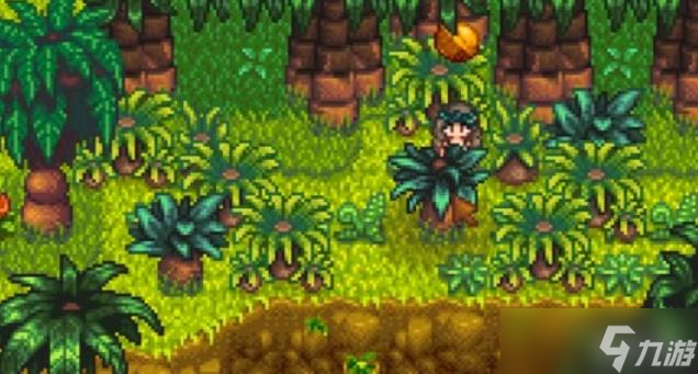 <a id='link_pop' class='keyword-tag' href='https://www.9game.cn/xlgwy/'>星露谷物语</a>姜岛南部核桃