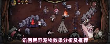 饥困荒野中哪个宠物好