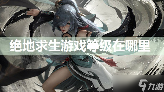 绝地求生游戏等级在哪里
