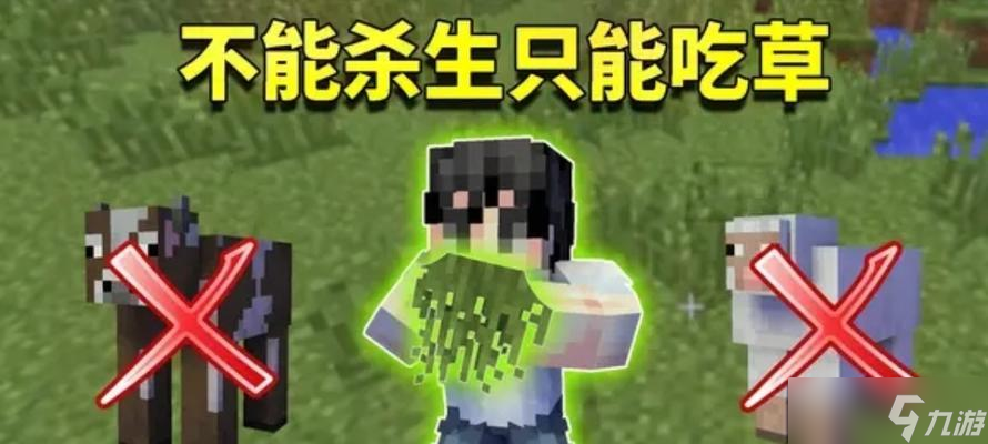 我的世界盗皮技巧有哪些？如何避免被发现？
