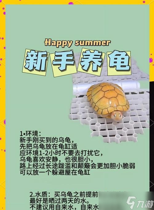 问道中体乌龟如何增加抗性？增加抗性的方法和技巧是什么？