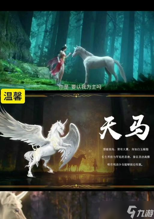 问道手游中天马的获取方法是什么？天马有哪些特殊能力？