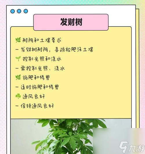 问道房屋种植技巧有什么 怎么在房屋中种植植物 