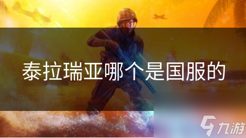 泰拉瑞亚哪个是国服的