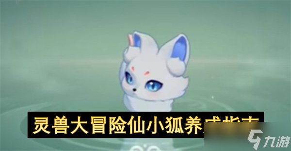 灵兽大冒险仙小狐养成指南