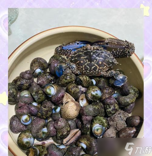 宝可梦探险寻宝海螺刷怎么获得（宝可梦探险寻宝海螺刷的详细攻略）