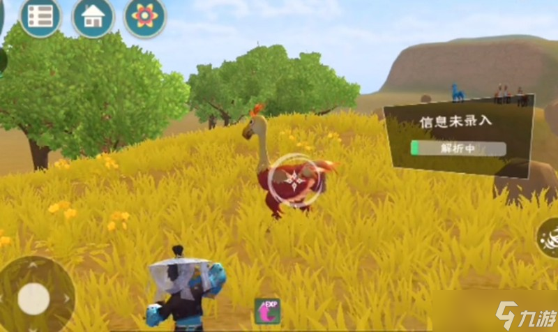 创造与魔法小红陆行鸟在哪抓 创造与魔法小红陆行鸟分布位置
