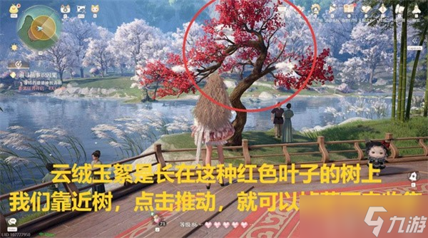 无限暖暖采集玉絮清洁白鹭任务如何完成