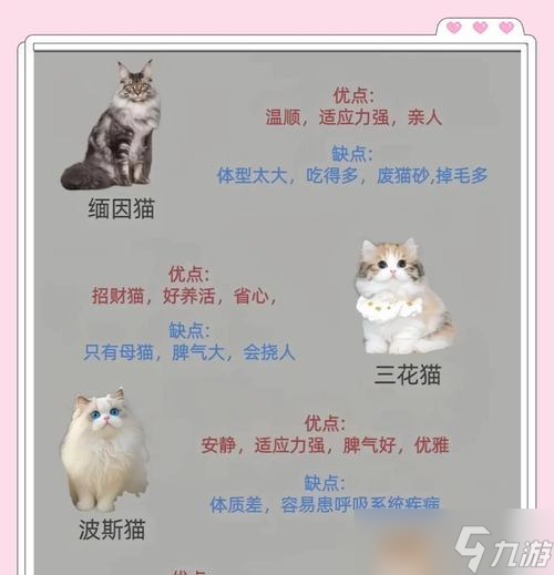 《爱江山更爱美人猫咪》之游戏中的星级评定（以猫咪为主角）