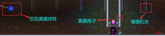 泰拉瑞亚【LC攻略组】泰拉瑞亚各个实用向人工场所制作解析——松露虫养殖场