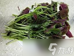 吃綠葉蔬菜能補充葉酸是真的嗎