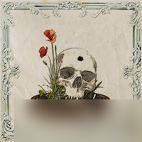 《四海兄弟故乡》全成就一览