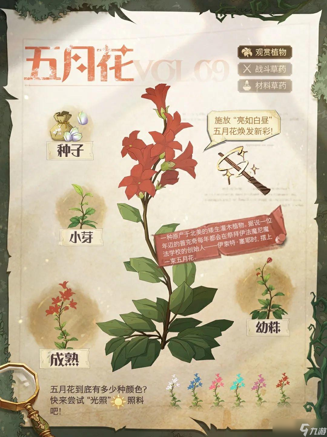 哈利波特：魔法觉醒魔法植物图鉴丨突破技术难点！巫师成功培育出麻瓜植物？