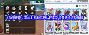 仙境传说重生宠物系统入口在哪截图