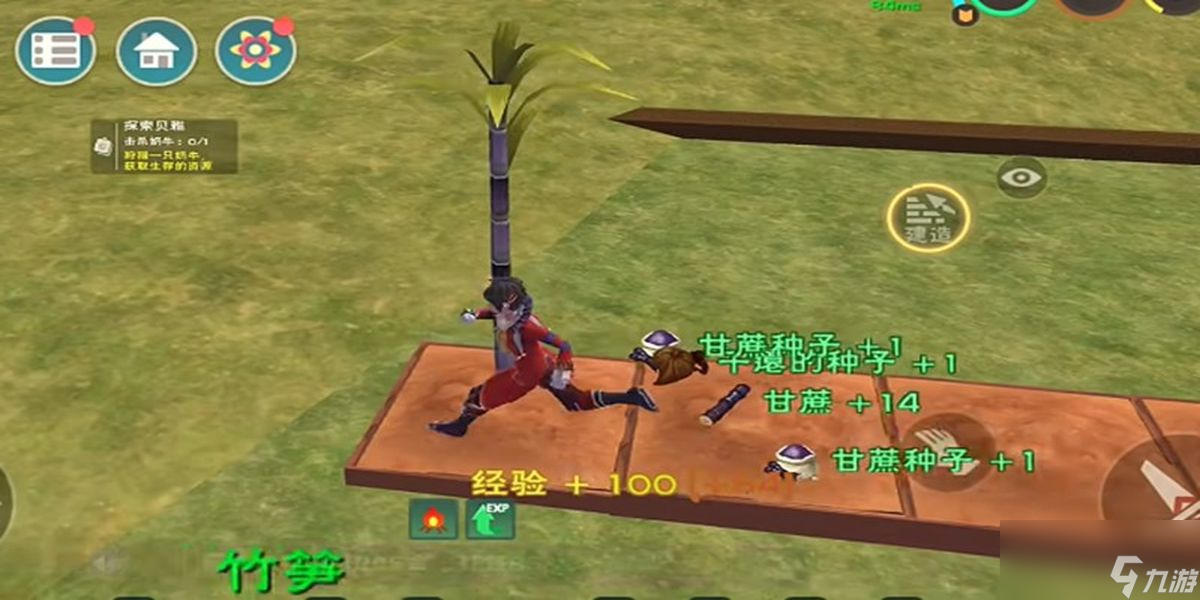 创造与魔法优质耕地种什么