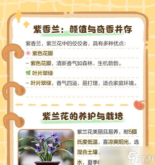 大话西游种花出兰花的秘诀是什么？