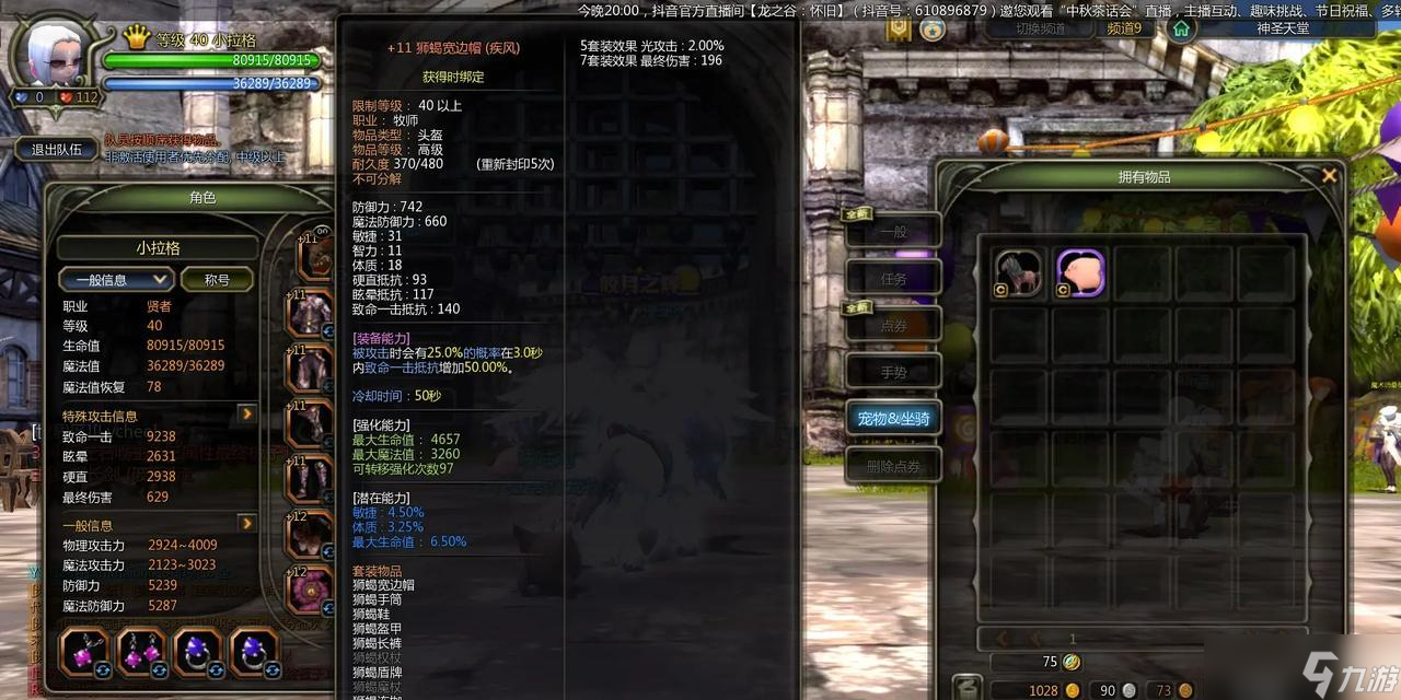 龙之谷怀旧服40s与50a选择标准是什么？