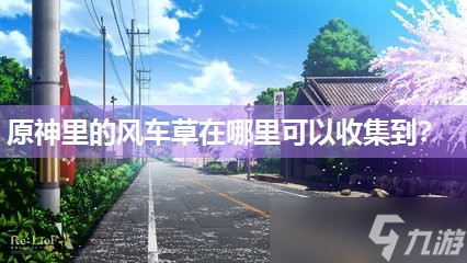 原神里的风车草在哪里可以收集到？