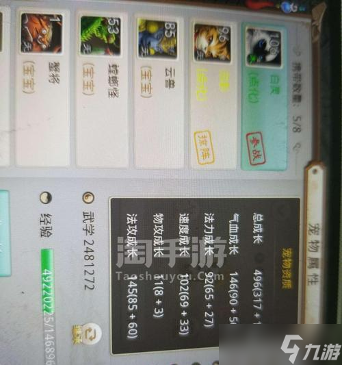 问道手游法龟抗性提升方法是什么？如何合理分配属性点？
