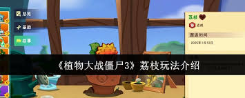 <a id='link_pop' class='keyword-tag' href='https://www.9game.cn/zwdzjs3/'>植物大战僵尸3</a>荔枝有什么作用