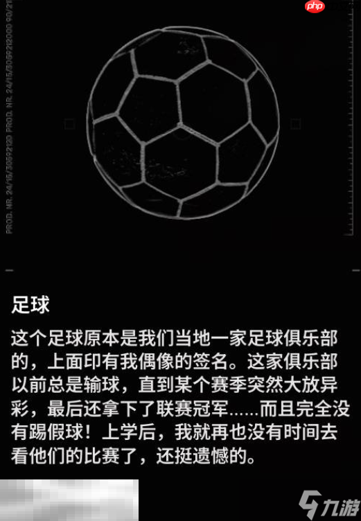 多重人生全收集品怎么获取 全收集品获取攻略
