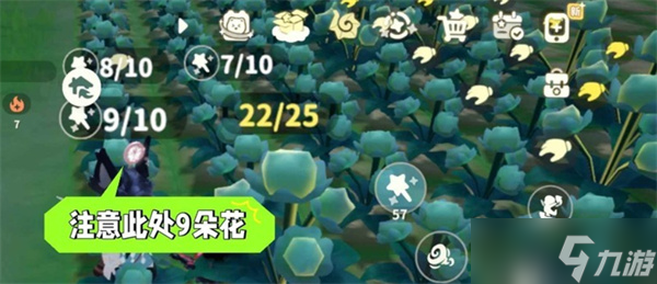 米姆米姆哈苍翠小花产量提升方法
