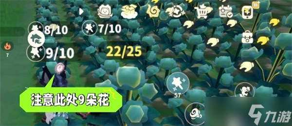 米姆米姆哈苍翠小花产量提升方法