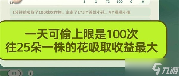 米姆米姆哈苍翠小花产量提升方法