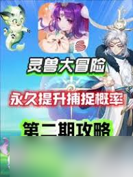 灵兽大冒险平民玩家玩法攻略