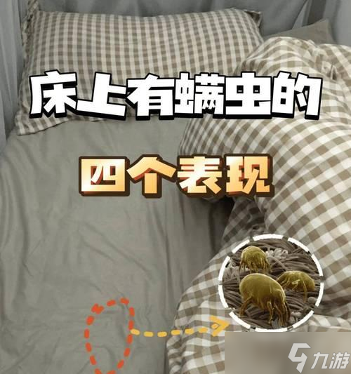 大话西游中被罩的佩戴方法是什么？被罩的正确使用方式有哪些？
