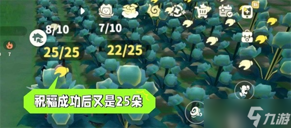米姆米姆哈苍翠小花产量提升方法