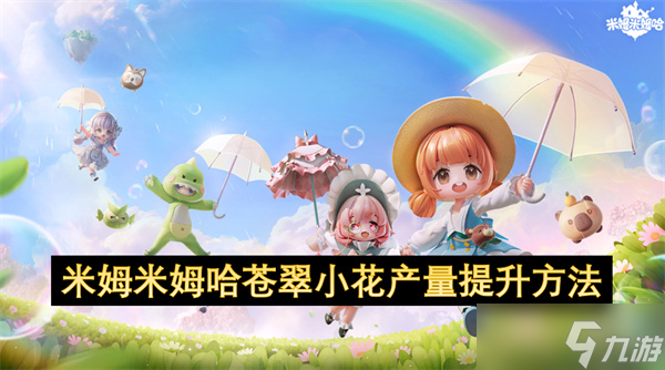 米姆米姆哈苍翠小花产量提升方法