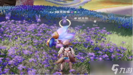 伊莫女巫草有什么用