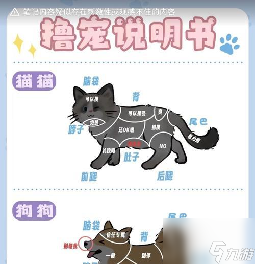 宠物心法解锁方法是什么？