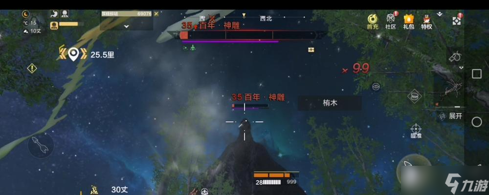 《妄想山海神雕》抓取方法詳解（掌握抓妄想山海神雕技巧）