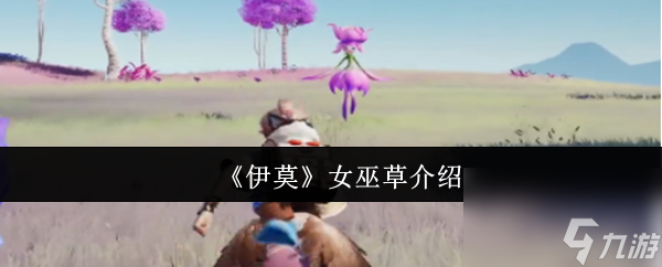 《伊莫》女巫草介紹
