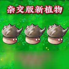 植物大战僵尸杂交版至尊金卡雷果子如何